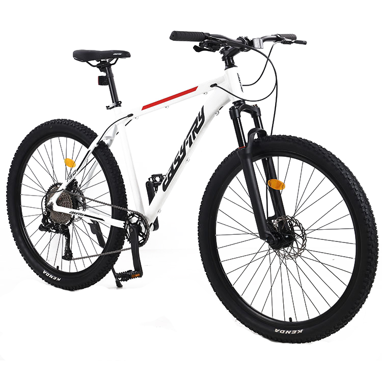 Mountain Biking Usa - Toptan 21 Vitesli Bisikletler Dağ Bisikleti